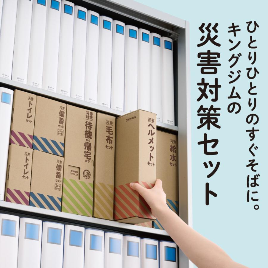 キングジム　KINGJIM 差し替えボックス (待機〜帰宅) STKS-100-BX | KING JIM | 04