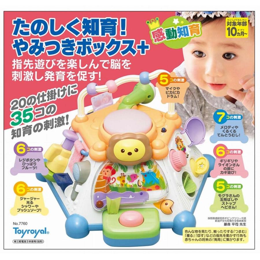ローヤル ToyRoyal トイローヤル たのしく知育やみつきボックス+ 7760 | トイローヤル | 02