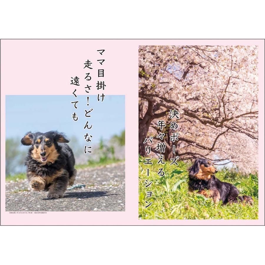 アートプリントジャパン 26年 カレンダー ダックス川柳 1000136869 | ブランド登録なし | 02