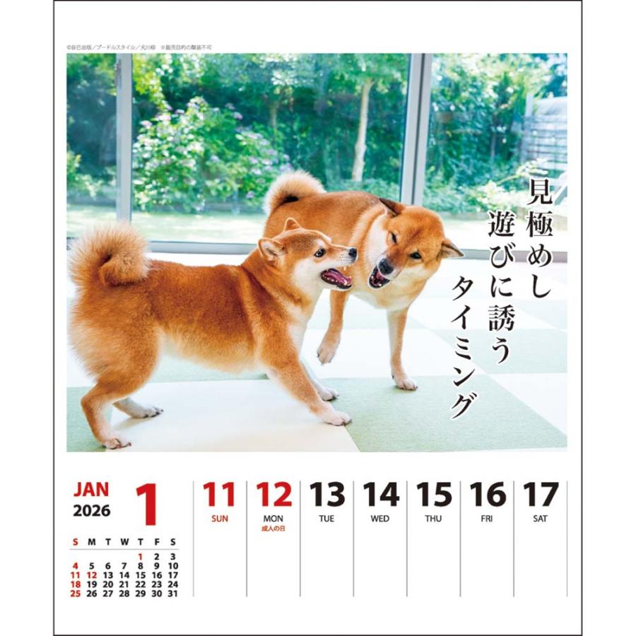 アートプリントジャパン 26年 カレンダー 犬川柳 週めくり 1000136871 | ブランド登録なし | 02