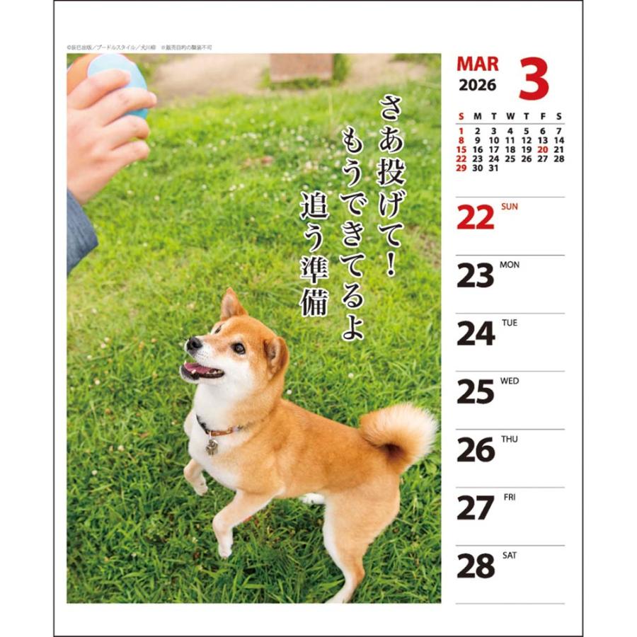 アートプリントジャパン 26年 カレンダー 犬川柳 週めくり 1000136871 | ブランド登録なし | 03
