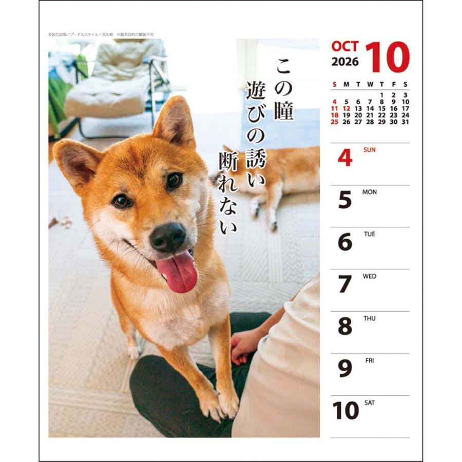 アートプリントジャパン 26年 カレンダー 犬川柳 週めくり 1000136871 | ブランド登録なし | 04