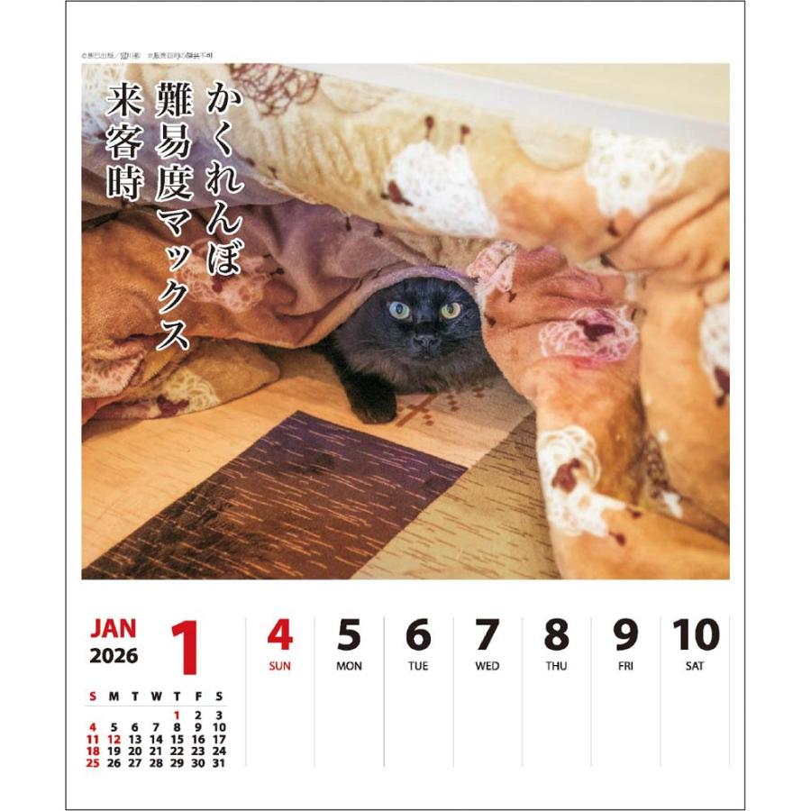 アートプリントジャパン 26年 カレンダー 猫川柳 週めくり 1000136872 | ブランド登録なし | 01