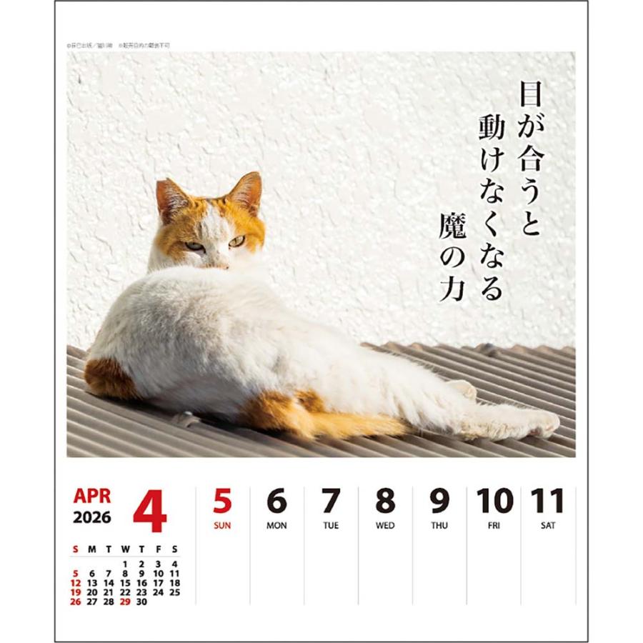 アートプリントジャパン 26年 カレンダー 猫川柳 週めくり 1000136872 | ブランド登録なし | 04