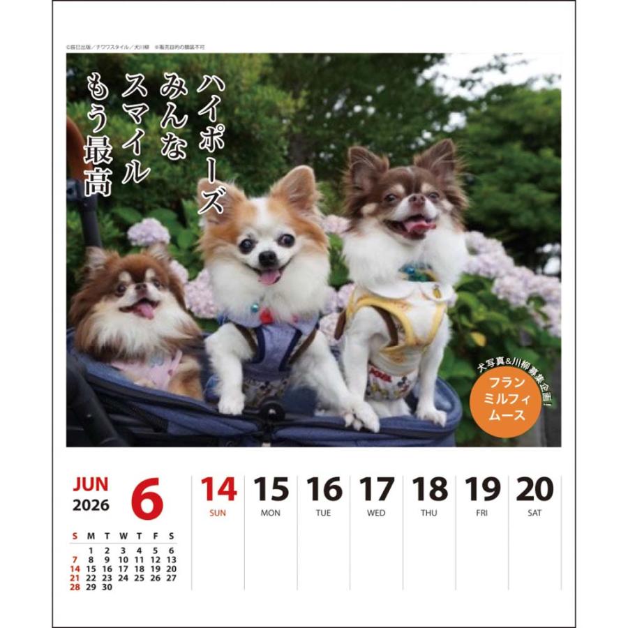 アートプリントジャパン 26年 カレンダー チワワ川柳 週めくり 1000136874 | ブランド登録なし | 04