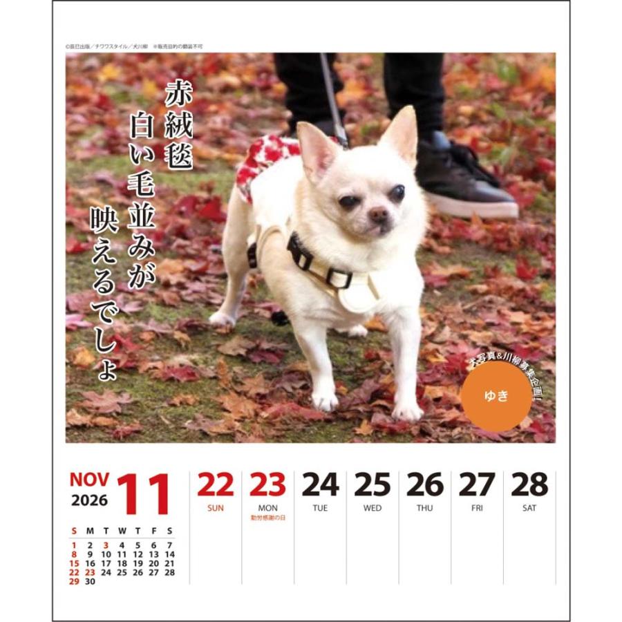 アートプリントジャパン 26年 カレンダー チワワ川柳 週めくり 1000136874 | ブランド登録なし | 05