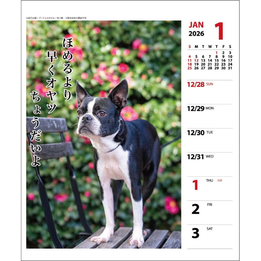 アートプリントジャパン 26年 カレンダー ペチャ川柳 週めくり 1000136875 | ブランド登録なし | 01