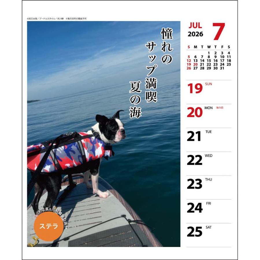 アートプリントジャパン 26年 カレンダー ペチャ川柳 週めくり 1000136875 | ブランド登録なし | 02