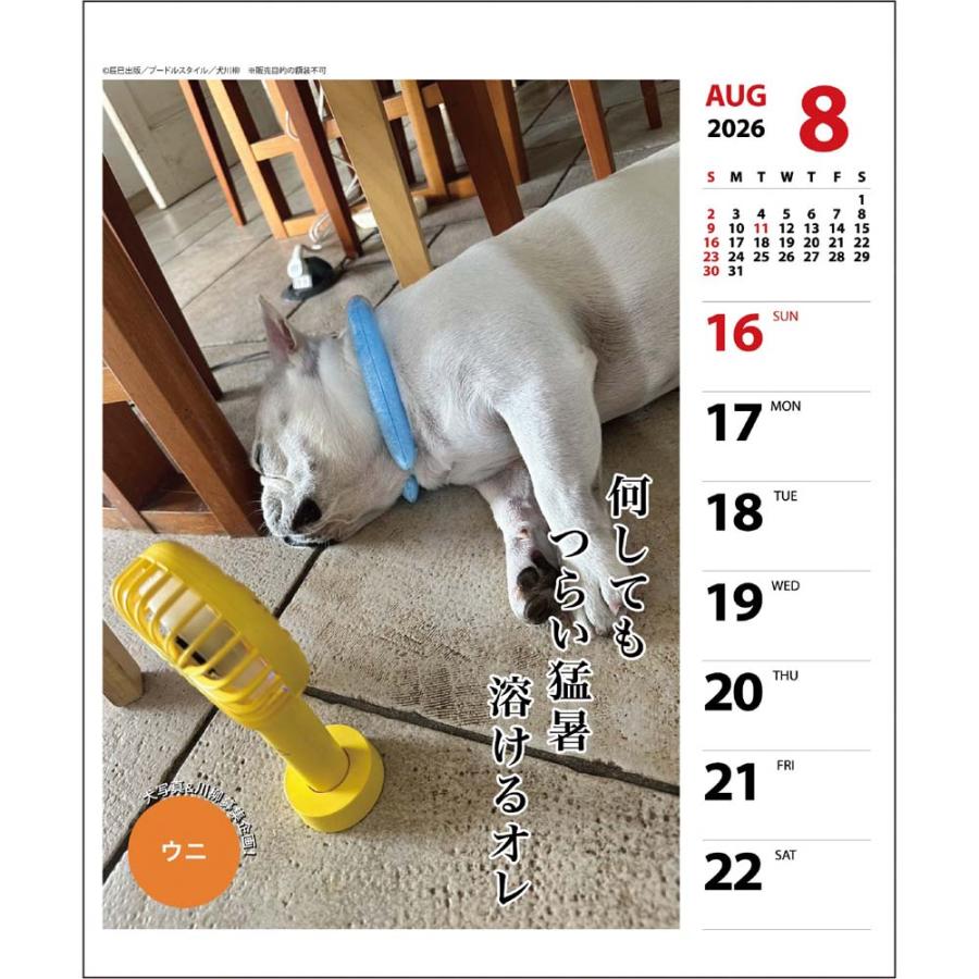 アートプリントジャパン 26年 カレンダー ペチャ川柳 週めくり 1000136875 | ブランド登録なし | 03