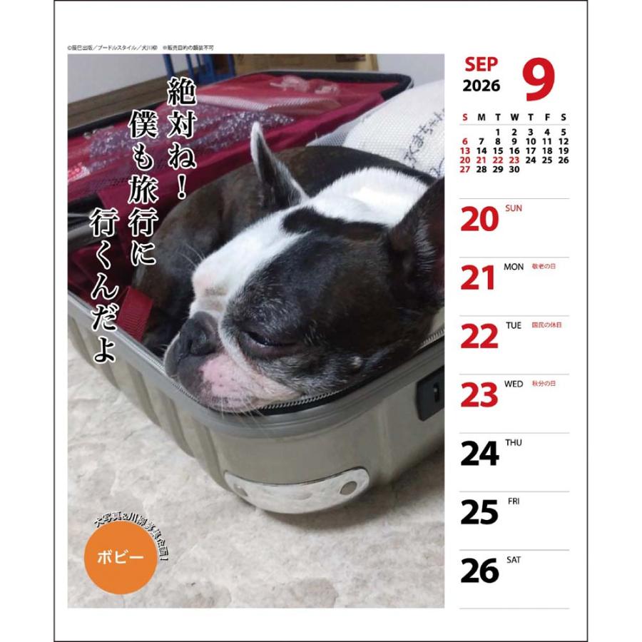 アートプリントジャパン 26年 カレンダー ペチャ川柳 週めくり 1000136875 | ブランド登録なし | 04