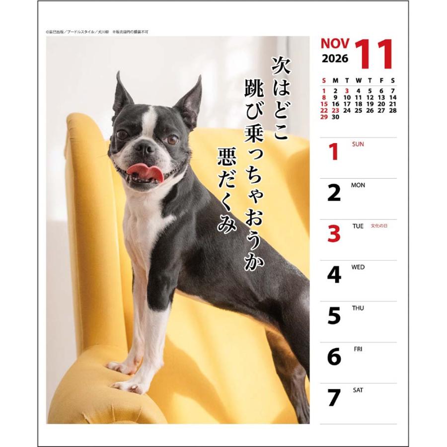 アートプリントジャパン 26年 カレンダー ペチャ川柳 週めくり 1000136875 | ブランド登録なし | 05