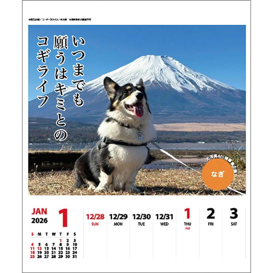 アートプリントジャパン 26年 カレンダー コーギー川柳 週めくり 1000136876 | ブランド登録なし | 01