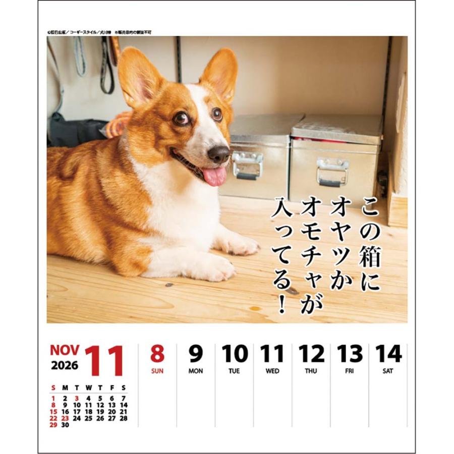 アートプリントジャパン 26年 カレンダー コーギー川柳 週めくり 1000136876 | ブランド登録なし | 04