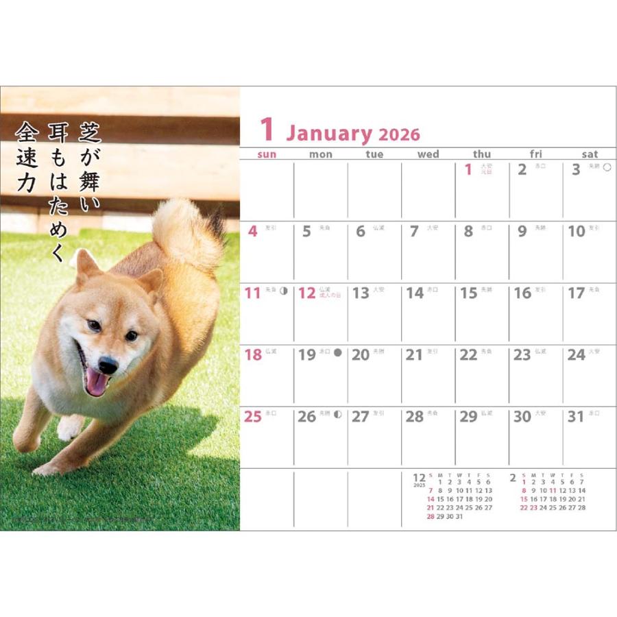 アートプリントジャパン 26年 カレンダー 犬川柳 卓上 1000136878 | ブランド登録なし | 01