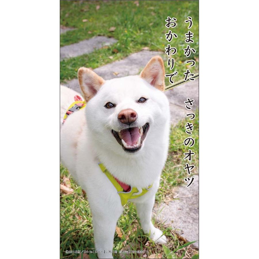 アートプリントジャパン 26年 カレンダー 犬川柳 卓上 1000136878 | ブランド登録なし | 02