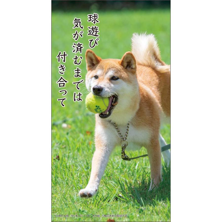 アートプリントジャパン 26年 カレンダー 犬川柳 卓上 1000136878 | ブランド登録なし | 03