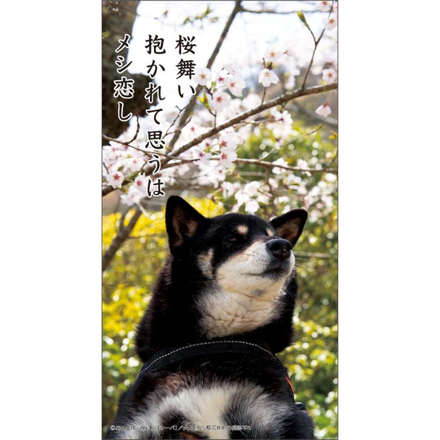 アートプリントジャパン 26年 カレンダー 犬川柳 卓上 1000136878 | ブランド登録なし | 04