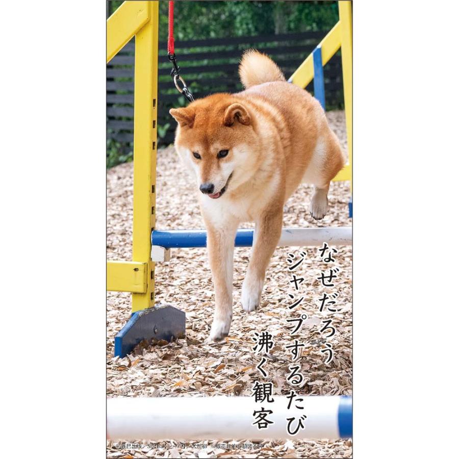 アートプリントジャパン 26年 カレンダー 犬川柳 卓上 1000136878 | ブランド登録なし | 05