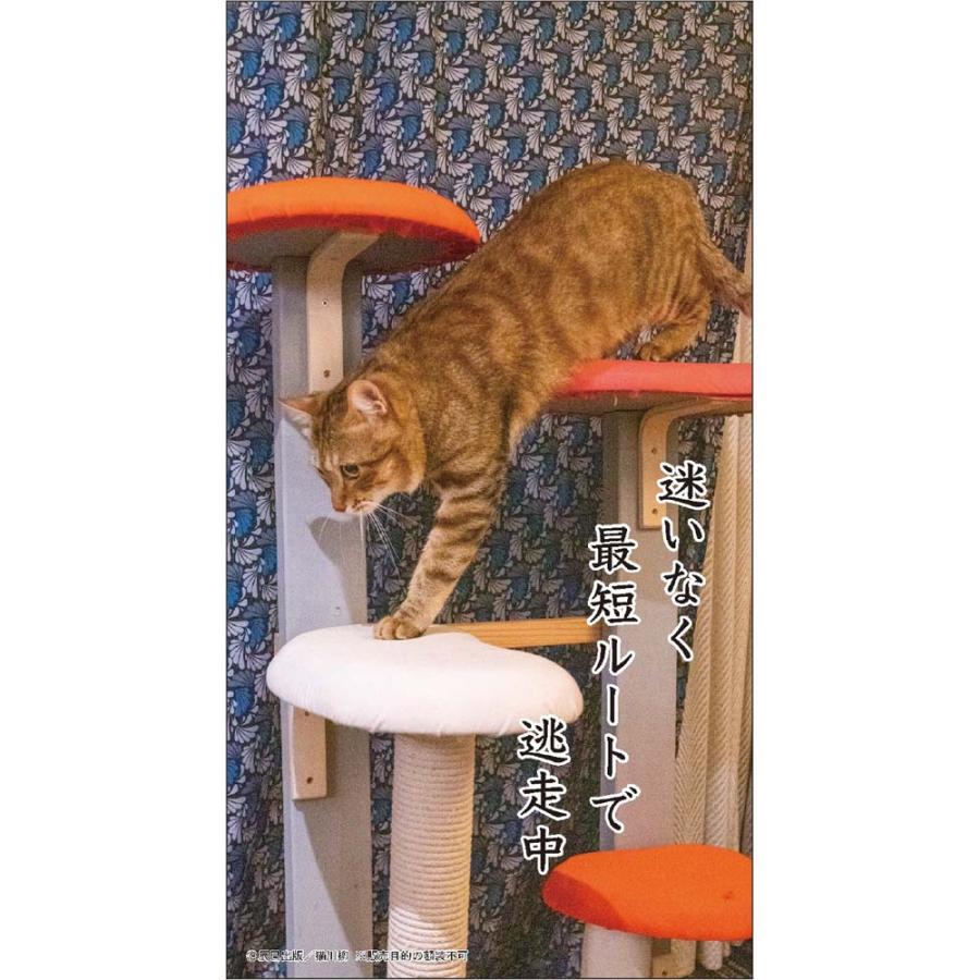アートプリントジャパン 26年 カレンダー 猫川柳 卓上 1000136879 | ブランド登録なし | 05