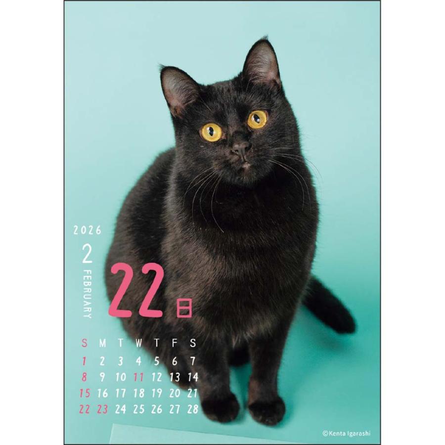 アートプリントジャパン 26年 カレンダー ニャン！！めくり 五十嵐健太 1000136880 | ブランド登録なし | 02