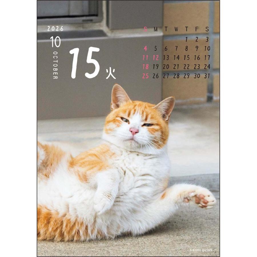 アートプリントジャパン 26年 カレンダー ニャン！！めくり 五十嵐健太 1000136880 | ブランド登録なし | 06