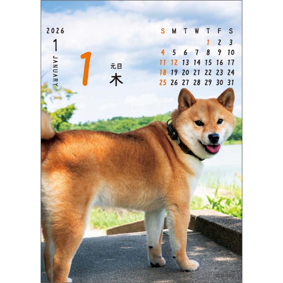 アートプリントジャパン 26年 カレンダー ワン！！めくり 1000136881 | ブランド登録なし | 01