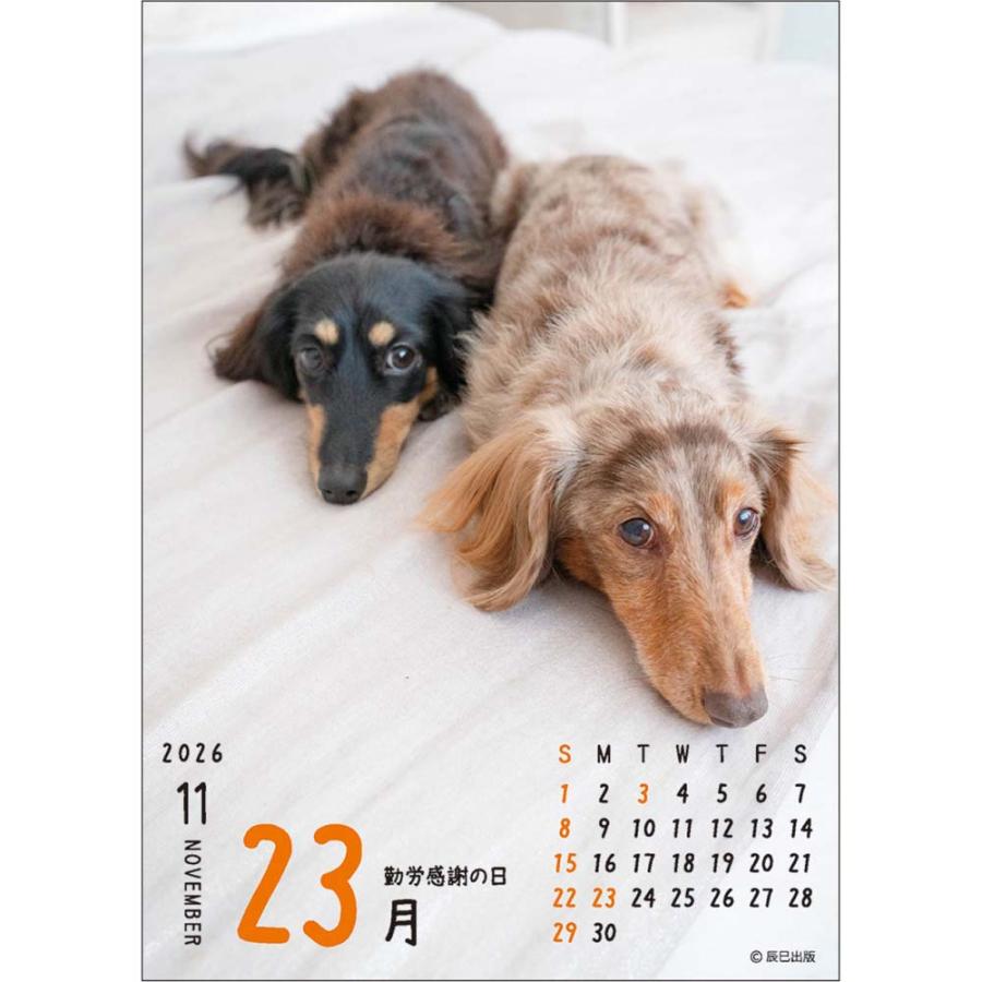 アートプリントジャパン 26年 カレンダー ワン！！めくり 1000136881 | ブランド登録なし | 03