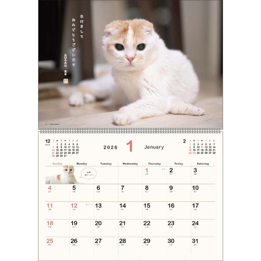アートプリントジャパン 26年 カレンダー ポッケ 1000136886 | ブランド登録なし | 01