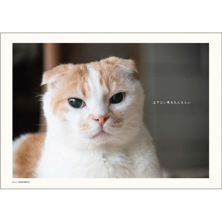 アートプリントジャパン 26年 カレンダー ポッケ 1000136886 | ブランド登録なし | 02