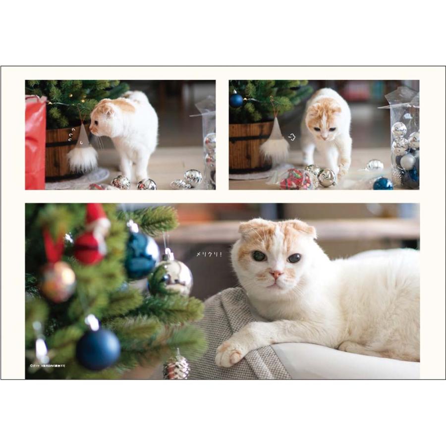 アートプリントジャパン 26年 カレンダー ポッケ 1000136886 | ブランド登録なし | 03