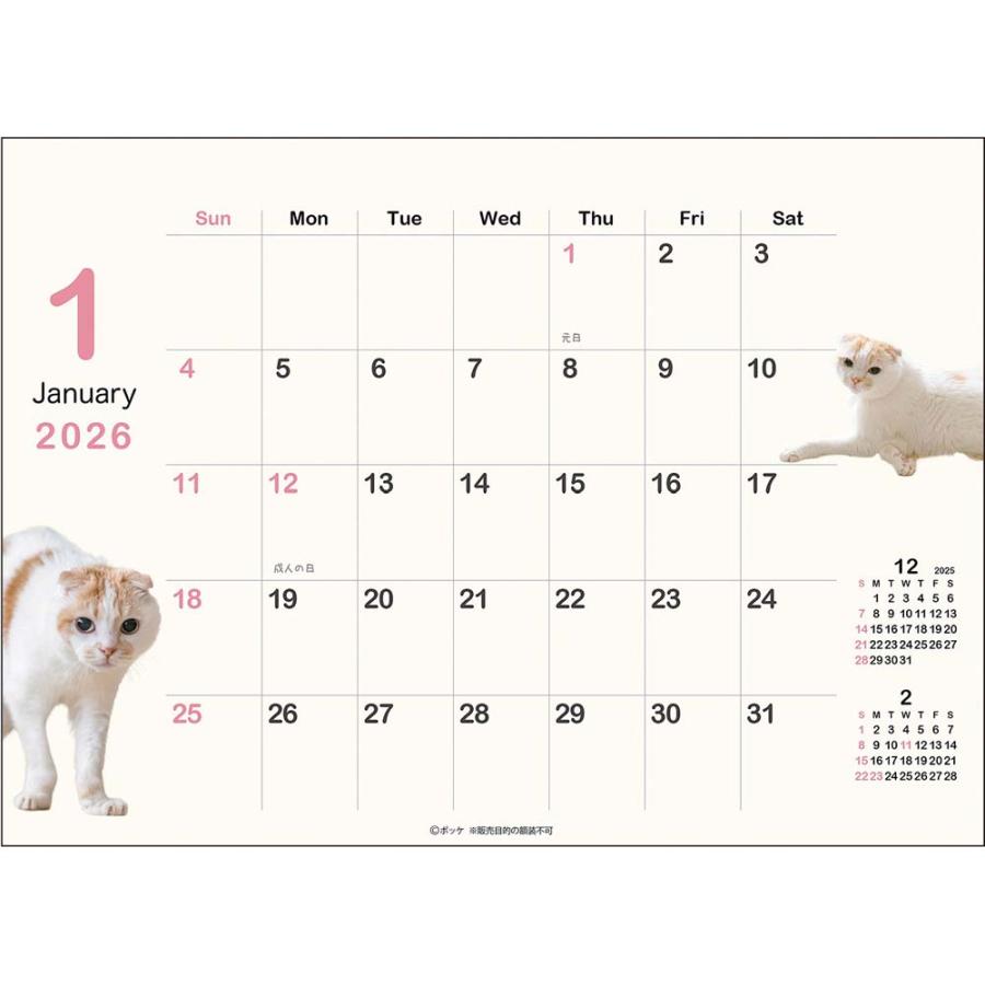 アートプリントジャパン 26年 カレンダー ポッケ 卓上 1000136887 | ブランド登録なし | 01