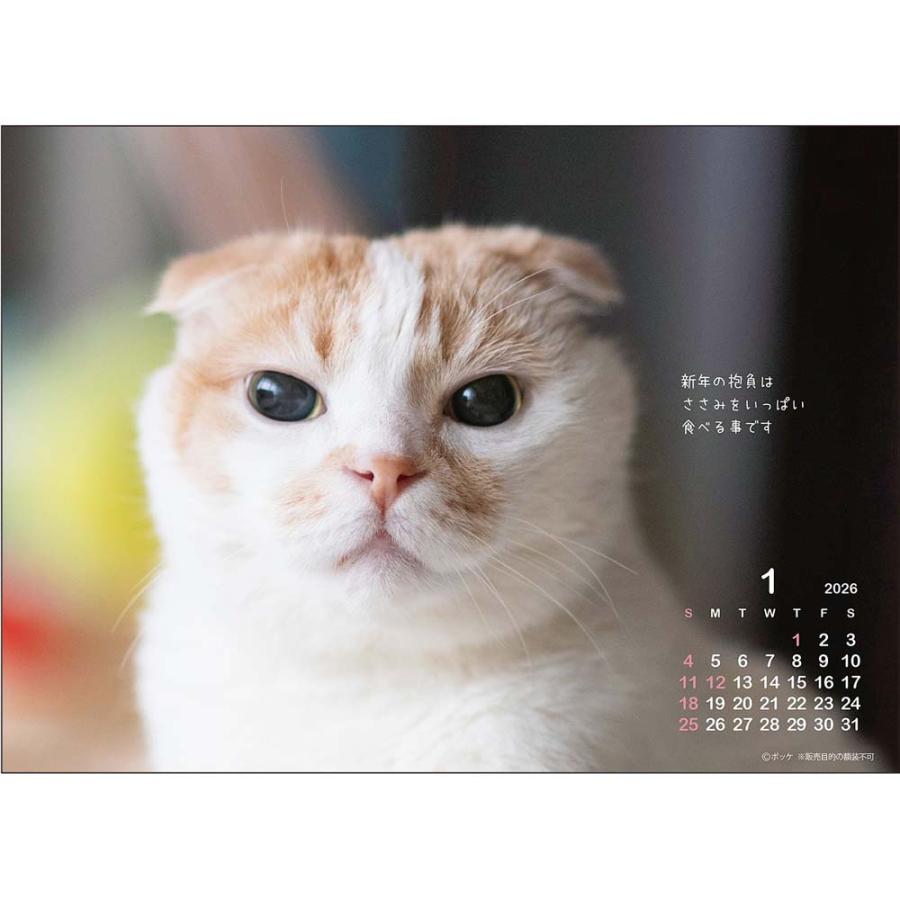 アートプリントジャパン 26年 カレンダー ポッケ 卓上 1000136887 | ブランド登録なし | 02