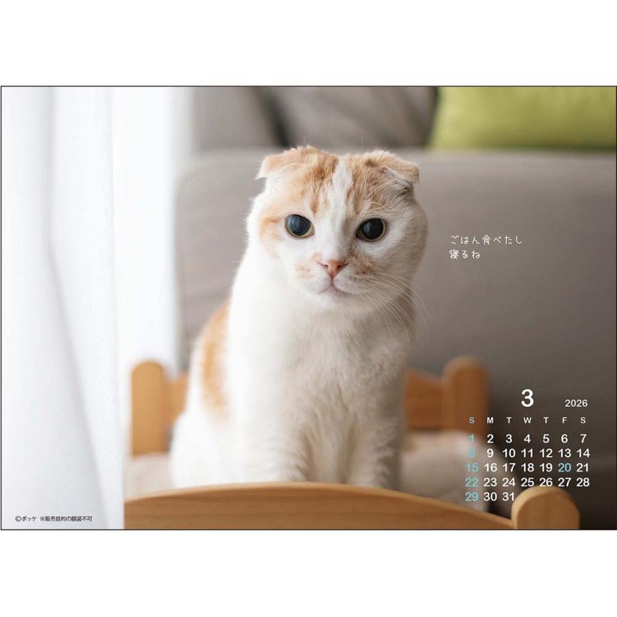 アートプリントジャパン 26年 カレンダー ポッケ 卓上 1000136887 | ブランド登録なし | 06