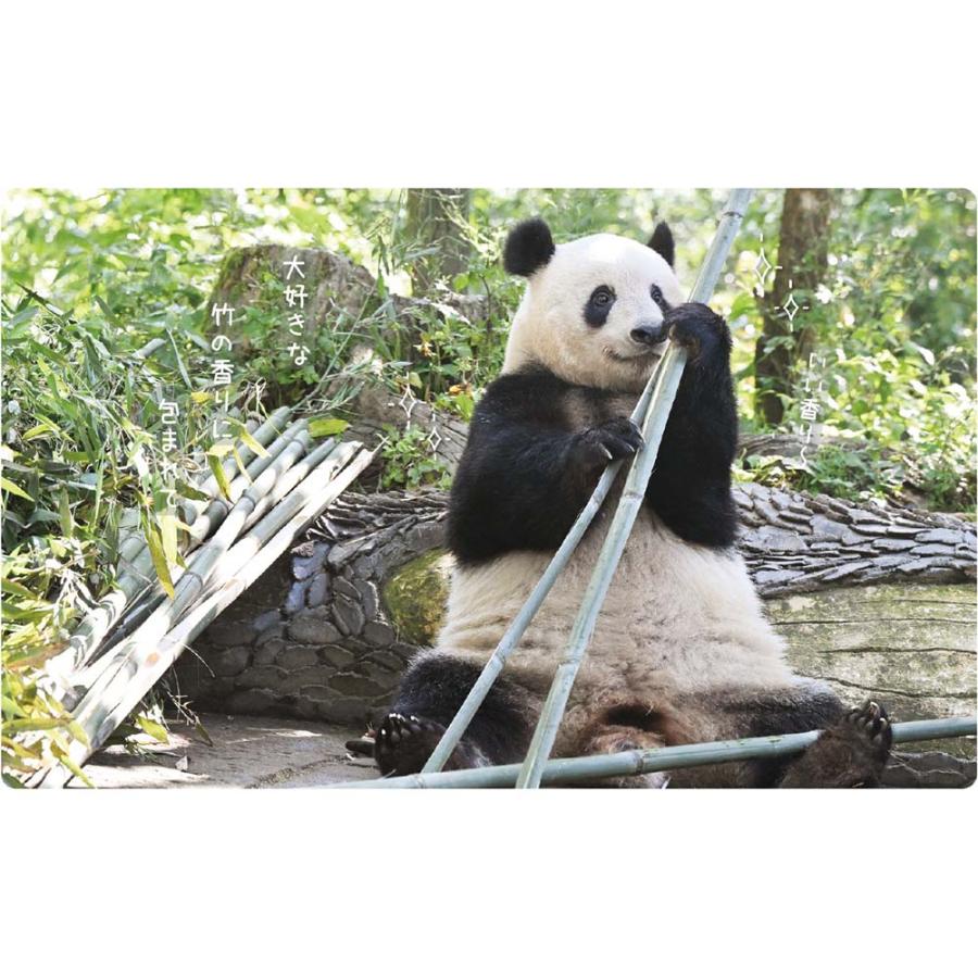 アートプリントジャパン 26年 カレンダー シャンシャン パンダ川柳 1000136893 | ブランド登録なし | 02