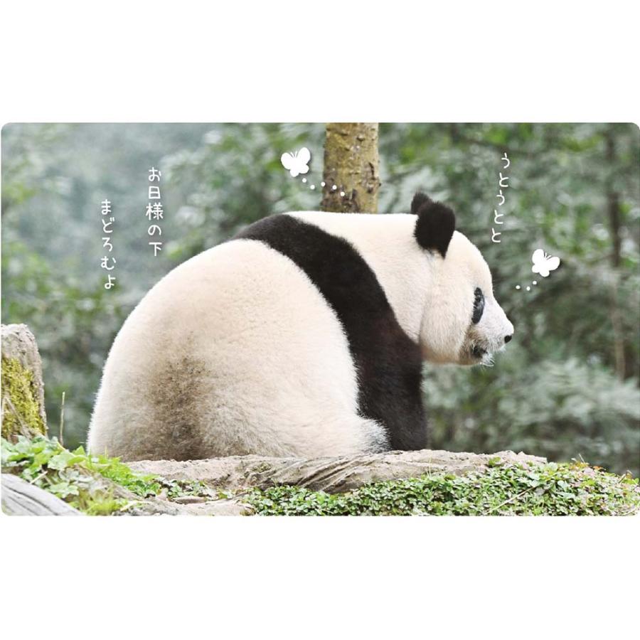 アートプリントジャパン 26年 カレンダー シャンシャン パンダ川柳 1000136893 | ブランド登録なし | 03