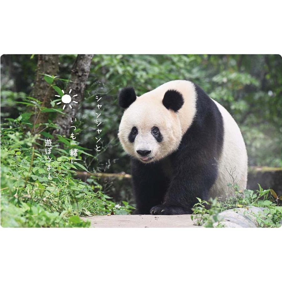 アートプリントジャパン 26年 カレンダー シャンシャン パンダ川柳 1000136893 | ブランド登録なし | 04