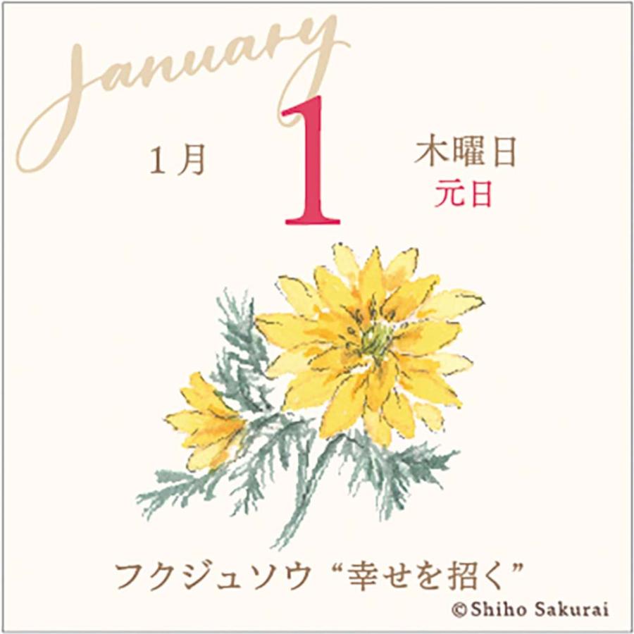 アートプリントジャパン 26年 カレンダー ミニチュア 日めくり 365日 花ことば 1000136914 | ブランド登録なし | 01