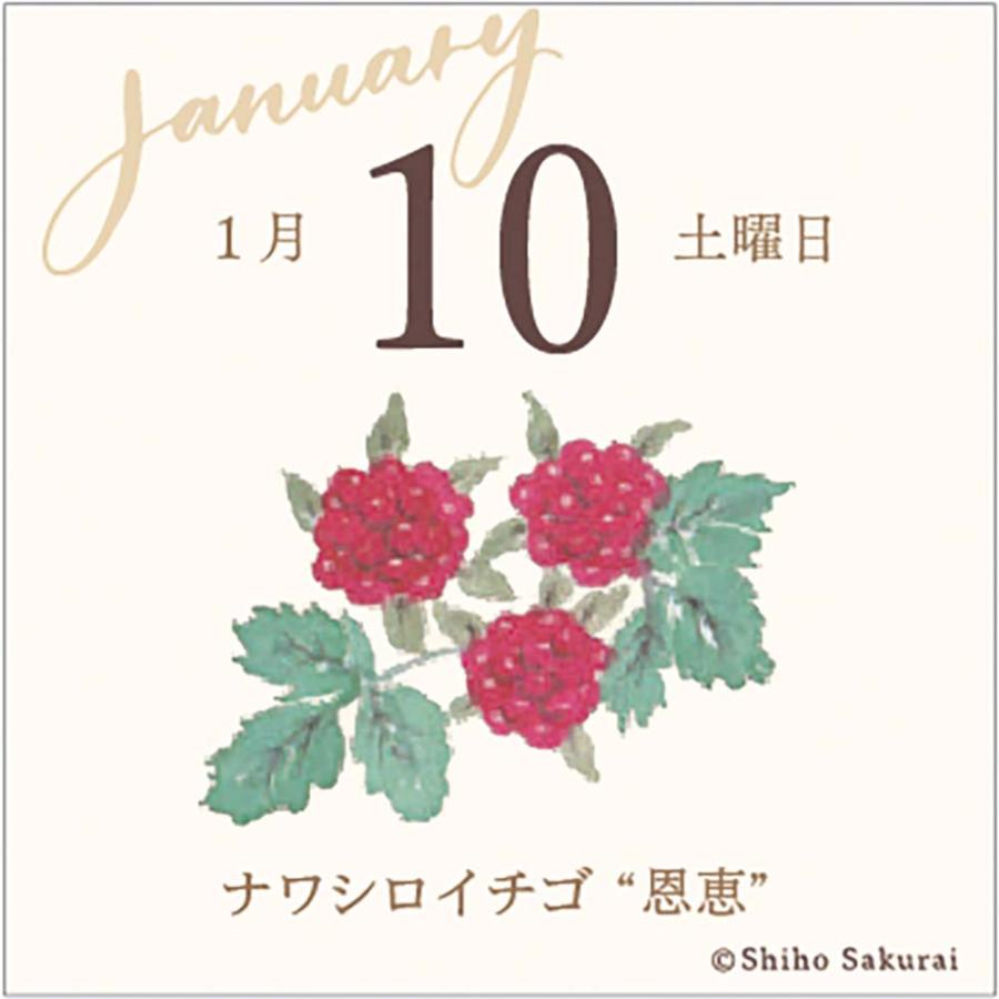 アートプリントジャパン 26年 カレンダー ミニチュア 日めくり 365日 花ことば 1000136914 | ブランド登録なし | 02