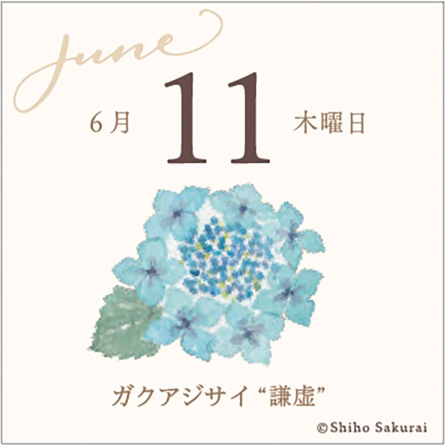 アートプリントジャパン 26年 カレンダー ミニチュア 日めくり 365日 花ことば 1000136914 | ブランド登録なし | 03