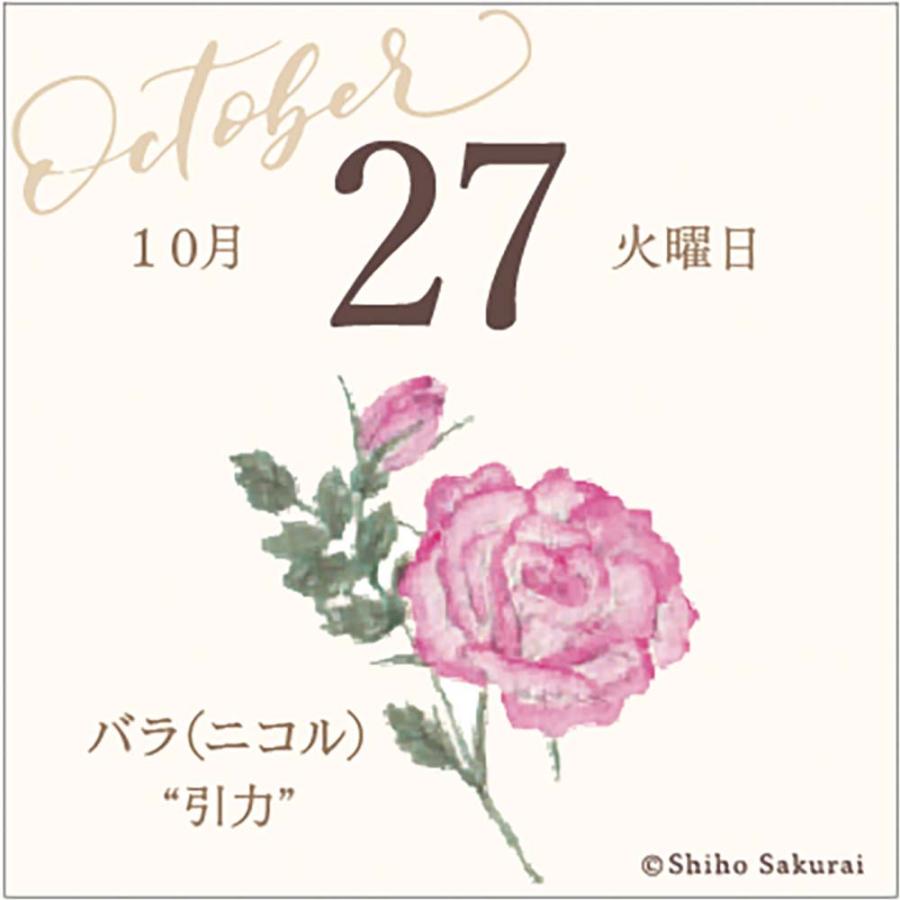 アートプリントジャパン 26年 カレンダー ミニチュア 日めくり 365日 花ことば 1000136914 | ブランド登録なし | 04