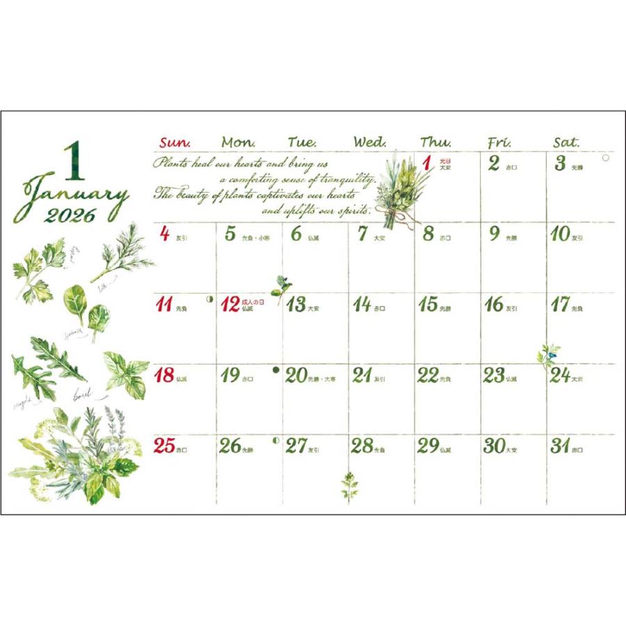 アートプリントジャパン 26年 カレンダー 香るハーバルライフ卓上 ミント 1000136917 | ブランド登録なし | 01