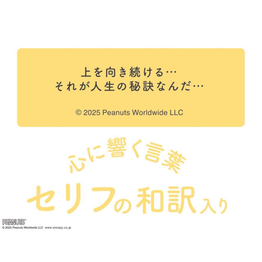 アートプリントジャパン 26年カレンダー 日めくり&スケジュール PEANUTS 1000137004 | ブランド登録なし | 01
