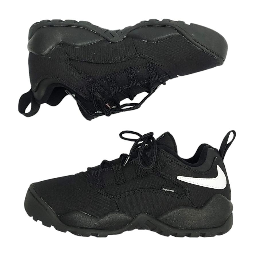 Supreme WC733 NIKE シュプリーム ナイキ 24SS SB DARWIN LOW  