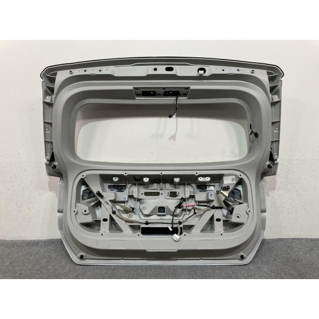 ライズ A200A/A210A/A201A/A202A 純正 リアゲート/バックドア
