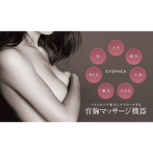 EVE RHEA（イブレア）バストケア美容機器 [ワイド(W)タイプ ]豊胸・バストアップ・育乳・美乳 マッサージ