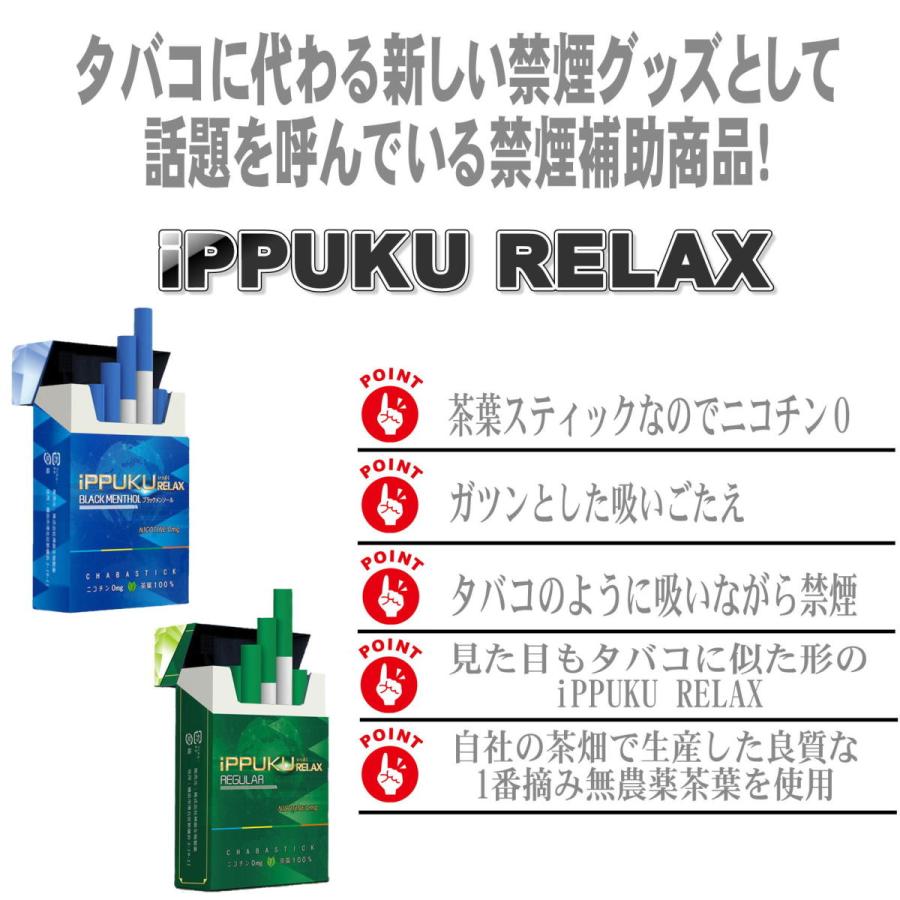 全2種類 iPPUKU RELAX 茶葉スティック 禁煙タバコ 禁煙グッズ 全2種類 iPPUKU RELAX 茶葉スティック 禁煙タバコ 禁煙グッズ