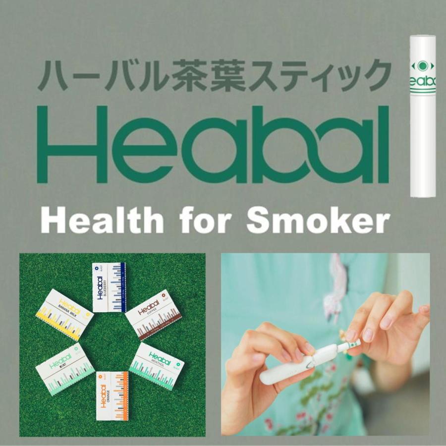 Heabal ニコチン0 ニコチンゼロ 茶葉 スティック 禁煙タバコ 禁煙グッズ 禁煙方法 タバコの代わり 電子タバコ 加熱式タバコ ハーバル  お試し1箱｜ecor｜02