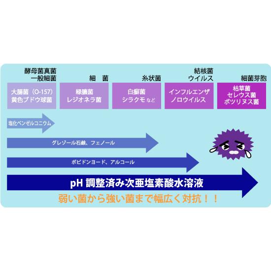 病院・施設でも使用のpH調整済み次亜塩素酸水溶液！sanitizerFOGXクリーナー＆ハイパーエコアクア１０L付除菌対策セットの画像