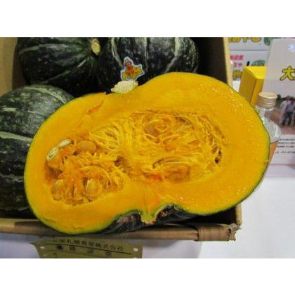 甘くてホクホク 北海道札幌産 札幌大浜みやこかぼちゃ 約２kgが２個 奈良より出荷一律１０００円 北海道 沖縄 離島１８００円 Ohamamiyakopk02 エコレックス 通販 Yahoo ショッピング