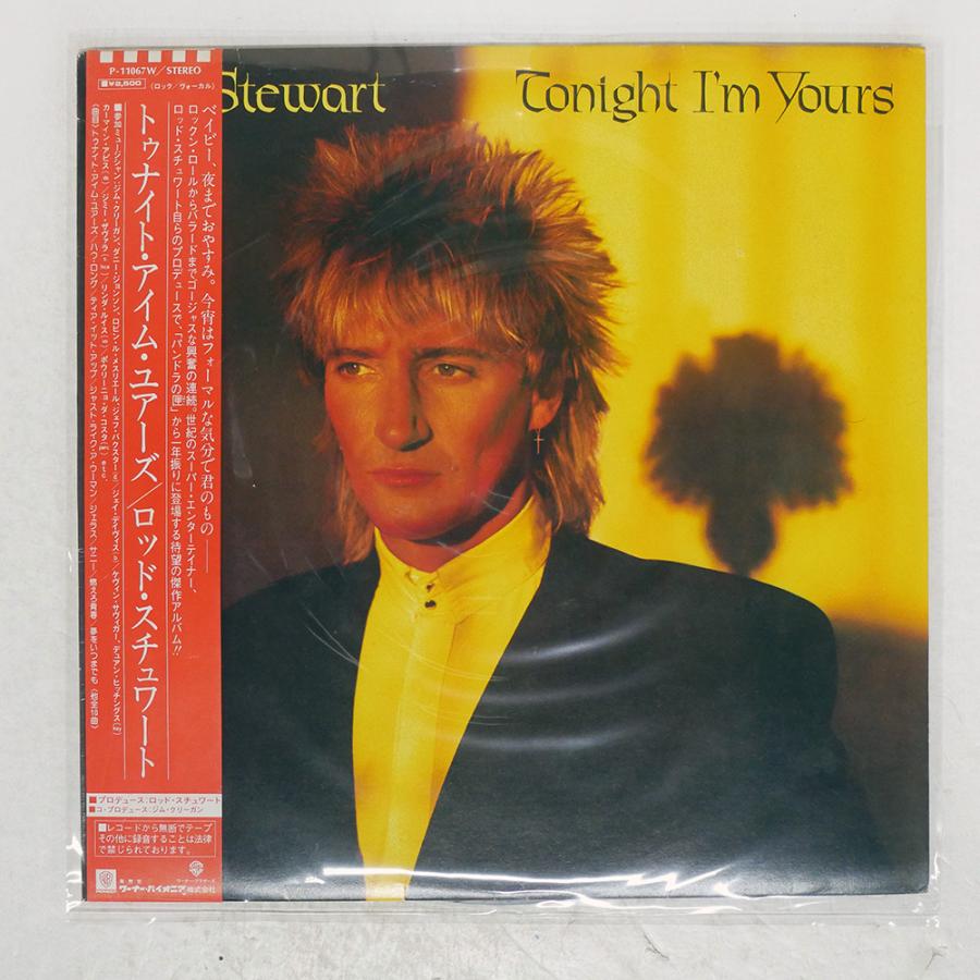 帯 国内盤 ROD STEWART/TONIGHT I'M YOURS/WARNER P11067W LP : Face